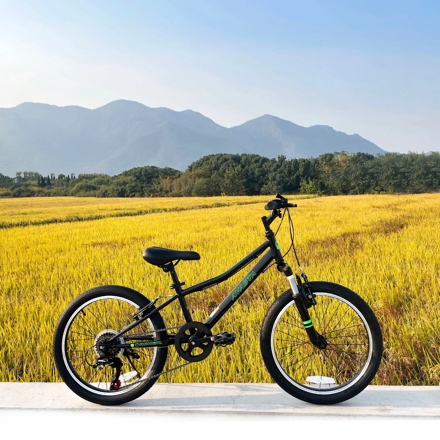 AVASTA 20'' Big Kids Mountain Bike for Age 6 7 8 9 10 11 12 Years Old Boys Girls Teen with Suspension Fork Front & Rear Dual Hand Brakes 6 Speeds Drivetrain, Cyan