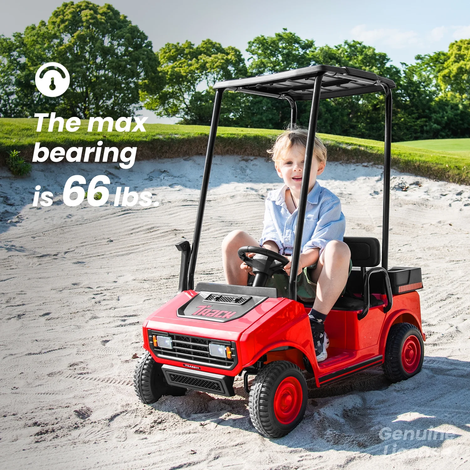 Track Seven 24V Ride on Car, Electric Golf Cart with Ceiling, Ride on Truck with Remote Control, Music, Rear Storage Box, Electric Car for Boys Girls Age 3+, 18.5