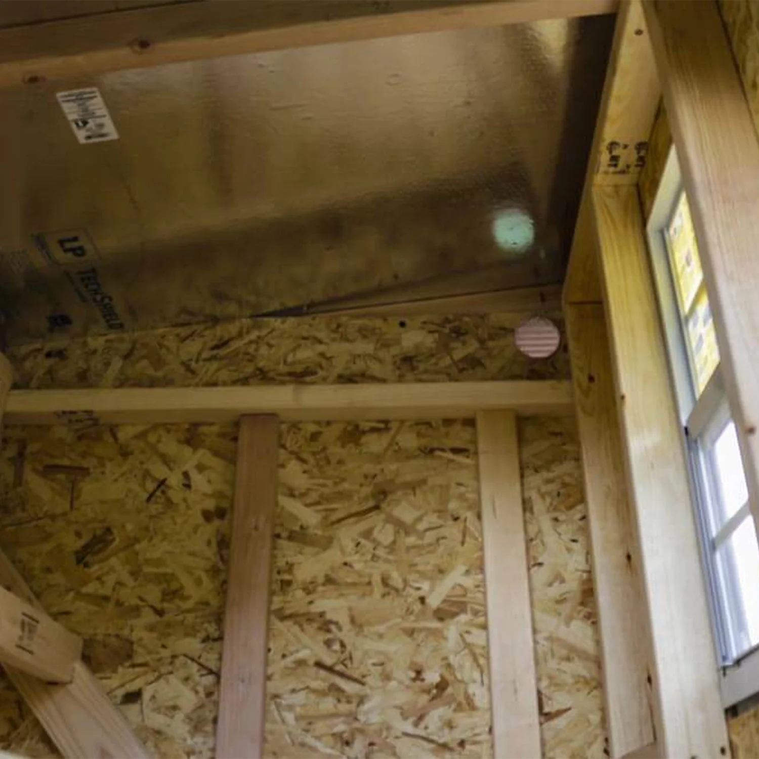 OverEZ Chicken Coop - Large | Hatching Time