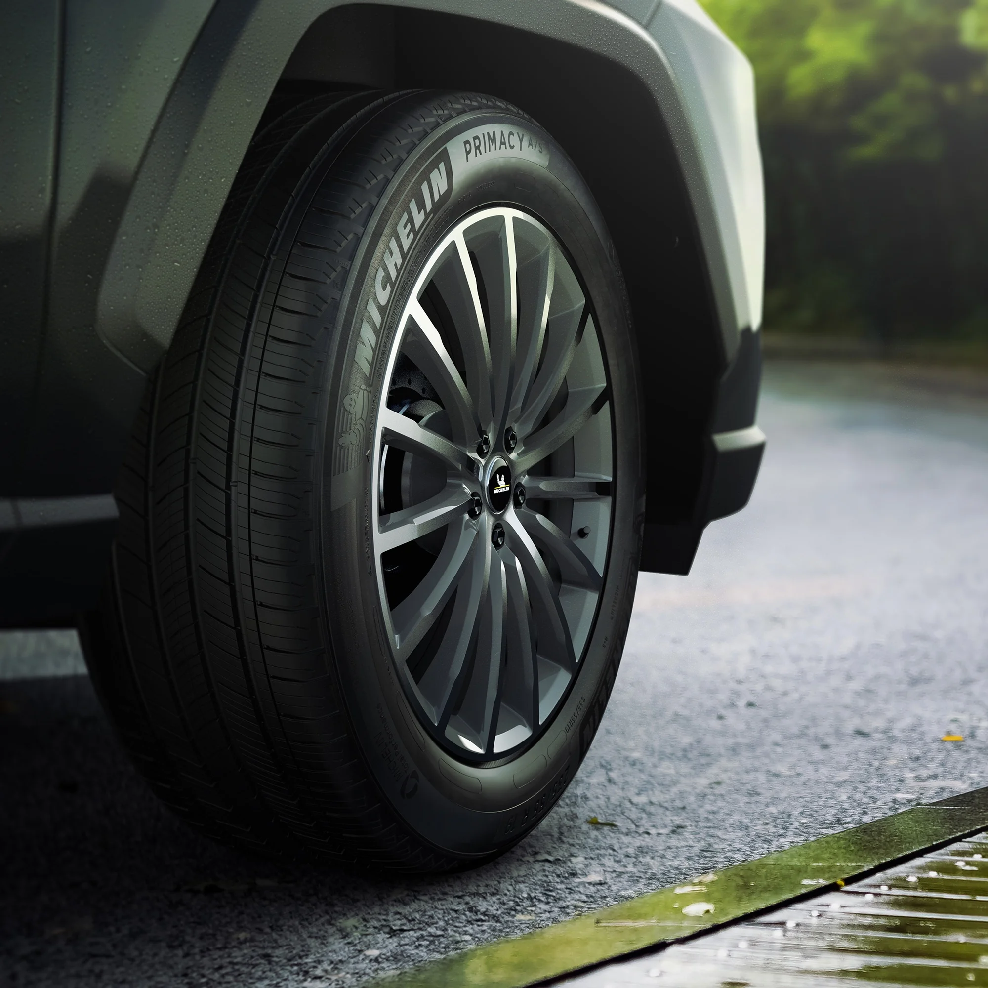 Primacy All-Season 225/65R17 102H Tire