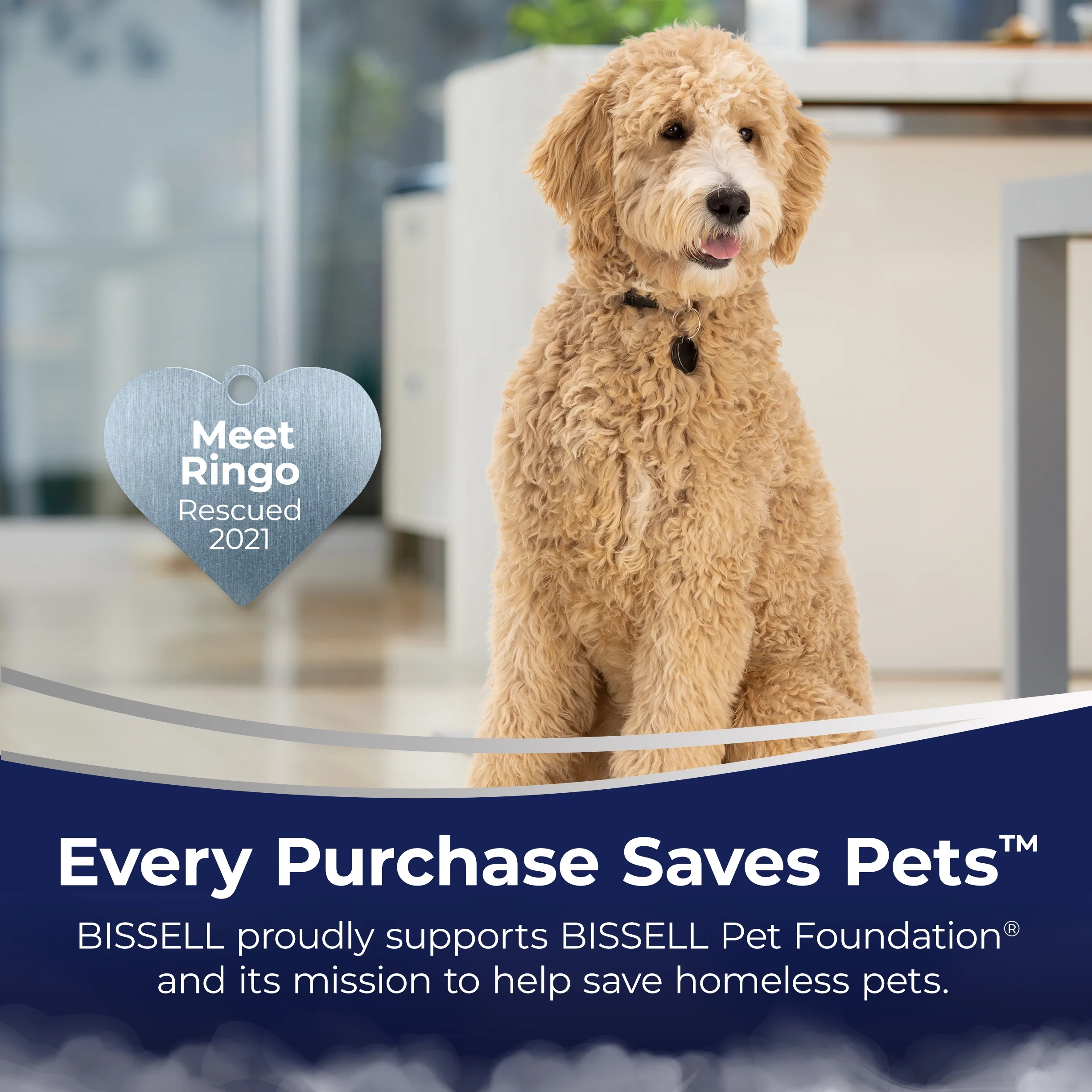 BISSELL Revolution HydroSteam Carpet Cleaner, 3428