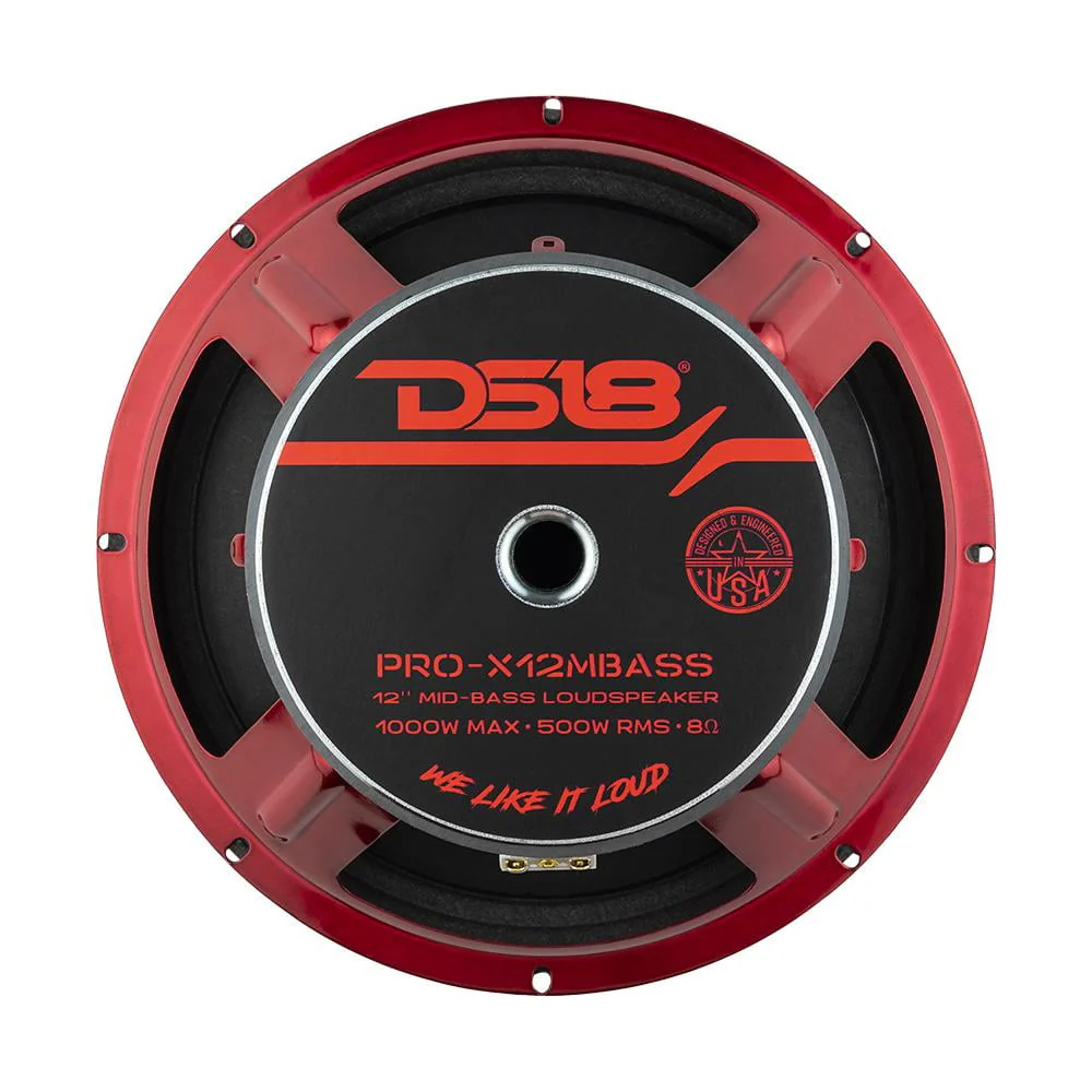 DS18 Car Audio 12
