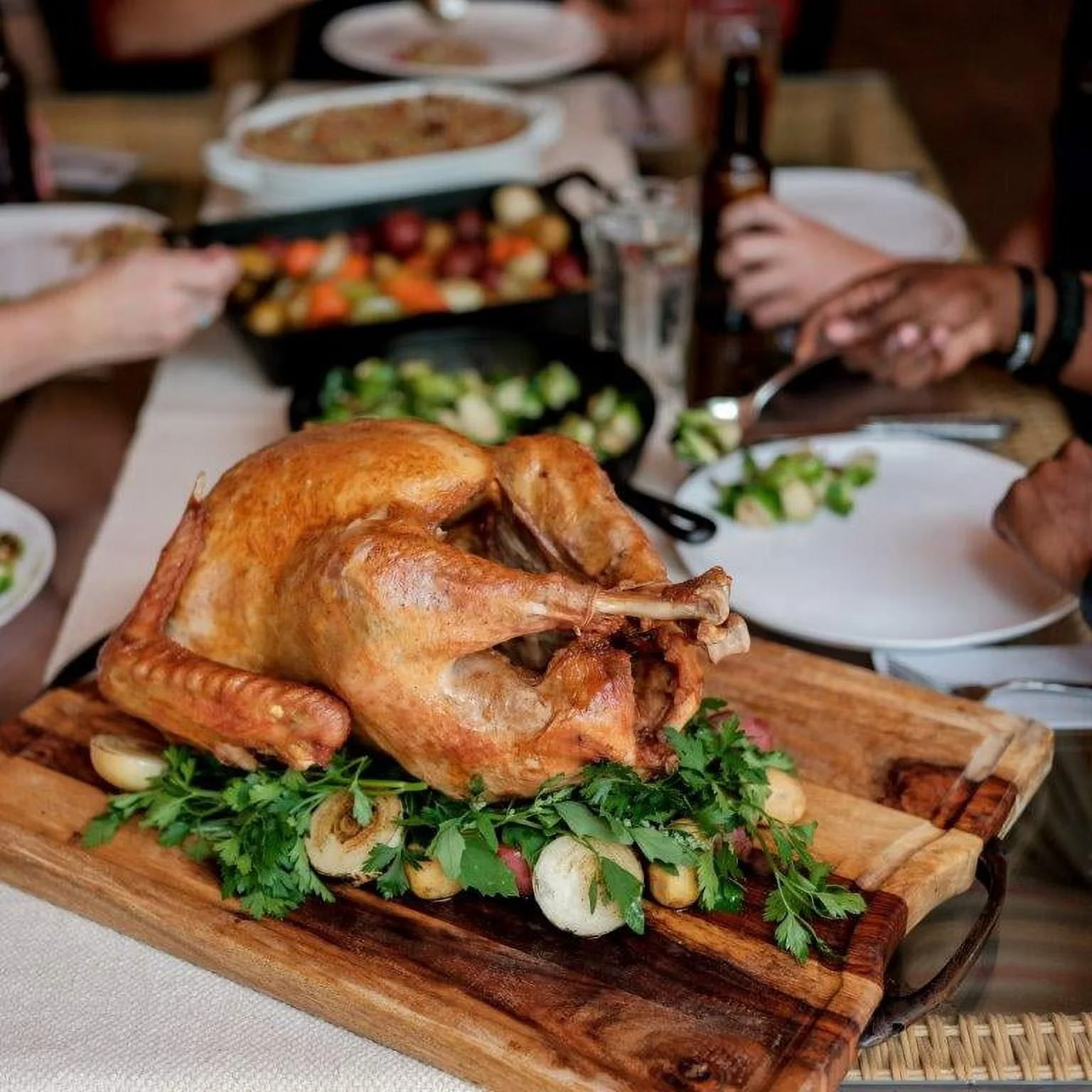 Masterbuilt 10 Liter XL Electric Fryer, Boiler, Steamer in Silver