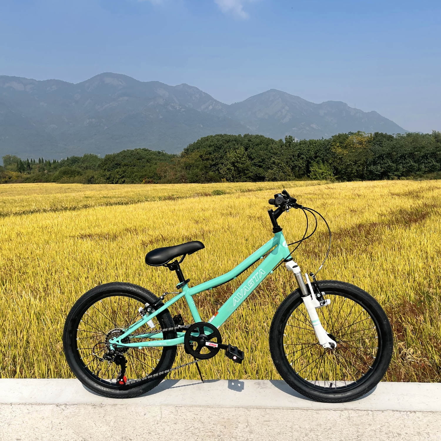 AVASTA 20'' Big Kids Mountain Bike for Age 6 7 8 9 10 11 12 Years Old Boys Girls Teen with Suspension Fork Front & Rear Dual Hand Brakes 6 Speeds Drivetrain, Cyan